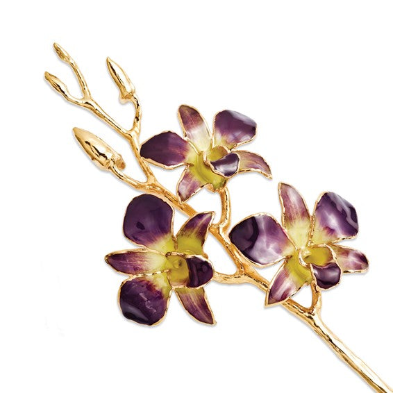 Yellow and Purple Orchid with Gold Trim