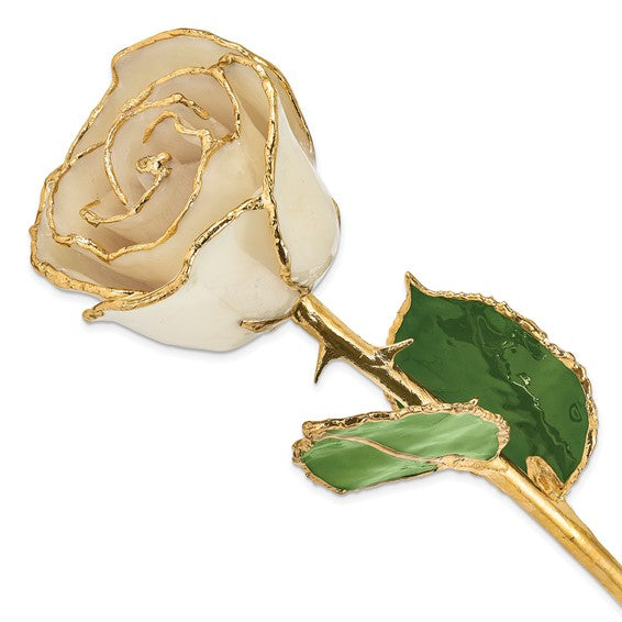 Bridal Party Gifts