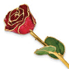 Red with Sparkles Colored Rose with Gold Trim