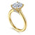 Ericka Elongated Cushion Cut Diamond Engagement Ring Setting with Hidden Halo